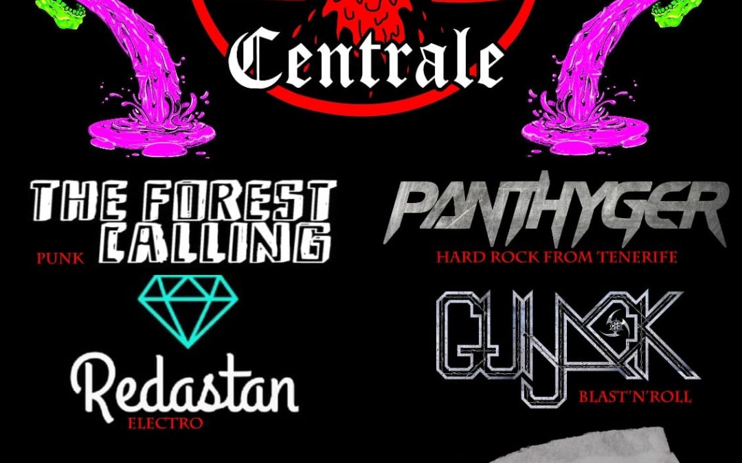 Animal Tour: ¡A Italia!